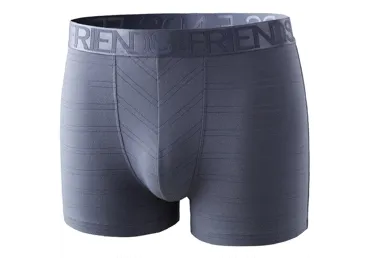 Vīriešu apakšbikses FRIENDS izmērs 54 zilpelēkas