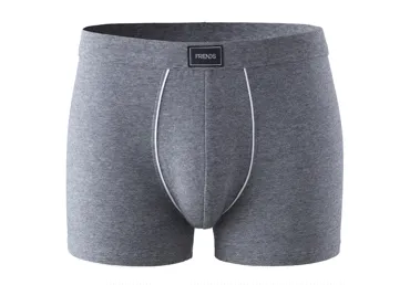 Vīriešu apakšbikses FRIENDS izmērs 56 melanžpelēkas