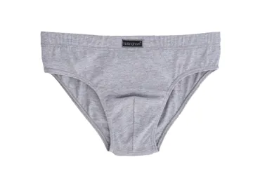 Vīriešu apakšbikses Nottingham T.N.E. 4/M grey