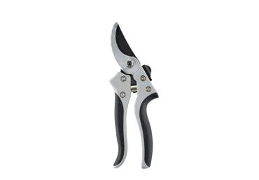 Zaru griezējs STALWART