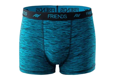 Zēnu bokseršorti FRIENDS 158-164 t.zili