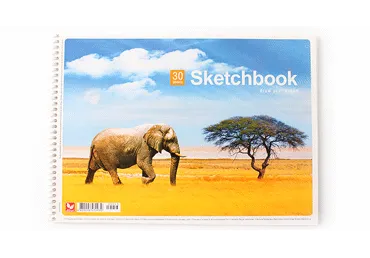 Zīmēšanas albums SHKOLIARIK A4 30 lapas