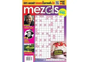 Žurnāls MEZGLS