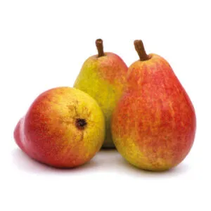 Bumbieri red Early Desire  2.šķ. Nīderlande