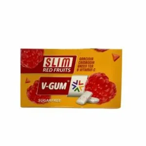 Košļājamā gumija Slim ar augļu garšu 17g