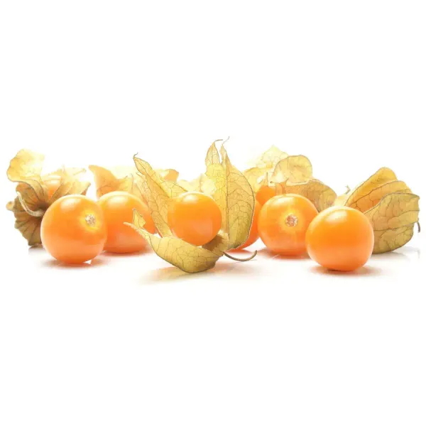 Fizāļi 12 kal. 100g., gab