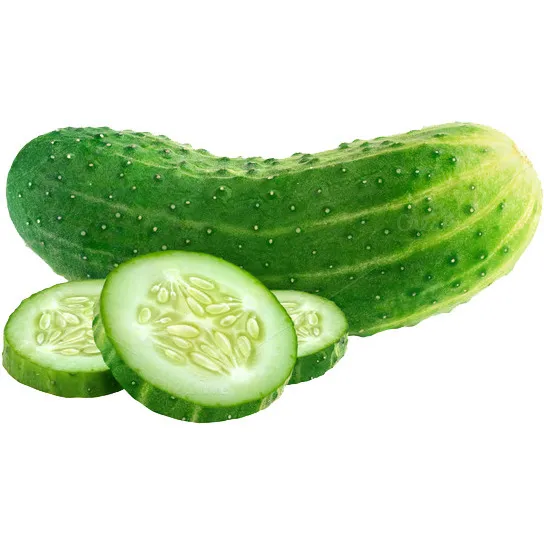 Gurķi lauku, sverami