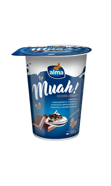 Jogurts saldkrējuma ar Stracciatella piedevu 380g, Alma