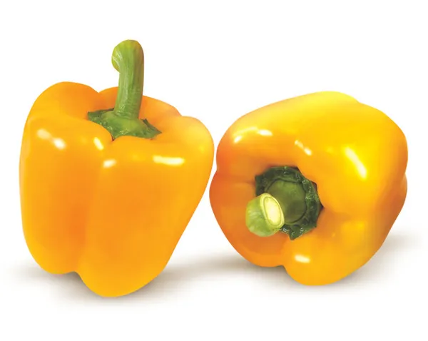 Paprika dzeltena, California, sver.