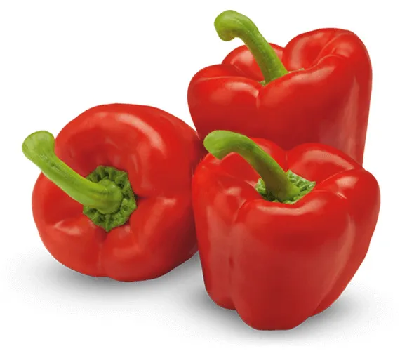 Paprika sarkana, California sver.