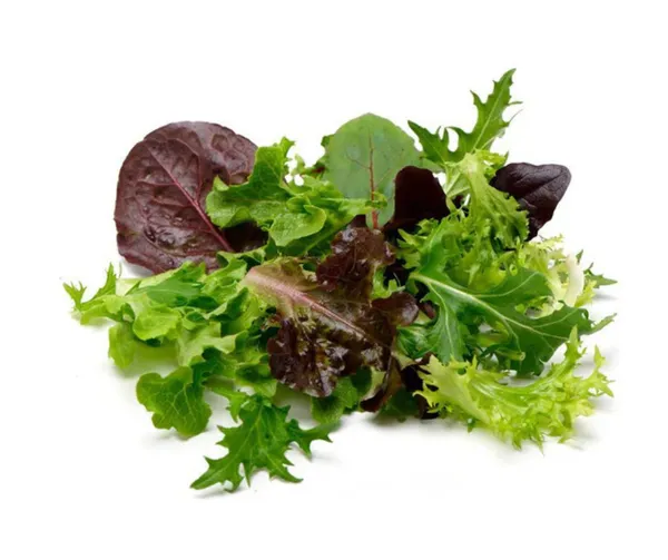 Salāti MIX Mesclum 125g