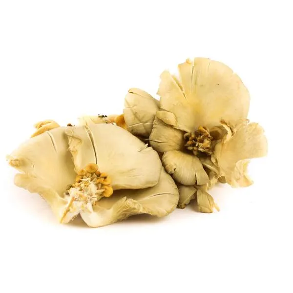 Sēnes Austeru 300g