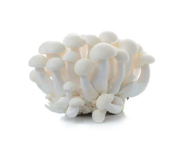 Sēnes Simeji baltas 150g