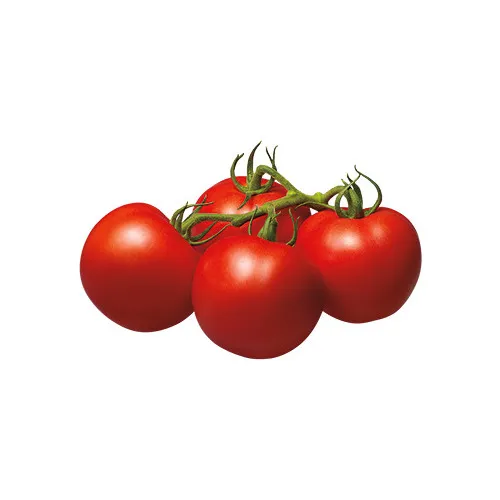 Tomāti ķekaros, sverami