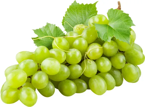 Vīnogas gaišās b/k, 500g