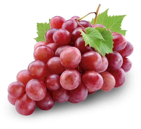 Vīnogas sarkanās, Red Globe, sveramas