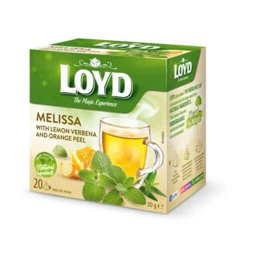 Zalu teja LOYD Pyramids piparmetru un ingvera gara, 20 x 2g