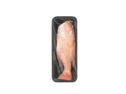 Fishnet Jūras asaris