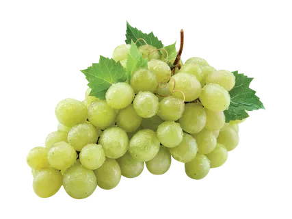 Gaišās vīnogas bez kauliņiem