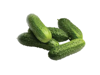 Īsie gurķi