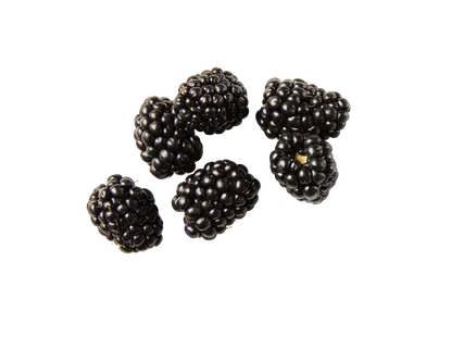 Kazenes 125g