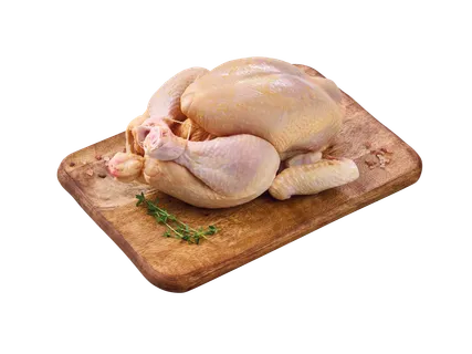 Kukurūzas cālis, A klase