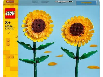 LEGO Ziedu konstruktors