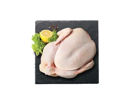 Rīgas Miesnieks Ķidāts cālis