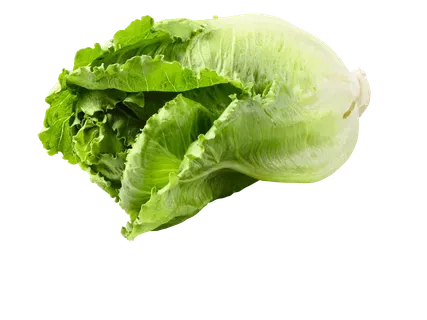 Romiešu salāti 1 gab.