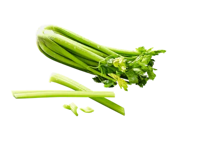 Salātu selerija 1 gab.