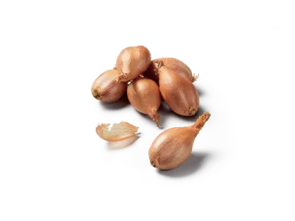 Šalotes sīpoli