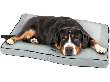 zoofari® Sildoša un dzesējoša guļvieta suņiem