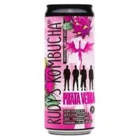 RUDY'S Pūķa auglis un mohito Kombucha 330 ml
