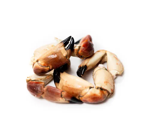 Akmeņkrabja spīles, saldētas, 12/20, 1kg