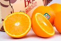 Apelsīni "BOLLO", fas., 1.šķ., ~2kg, gab