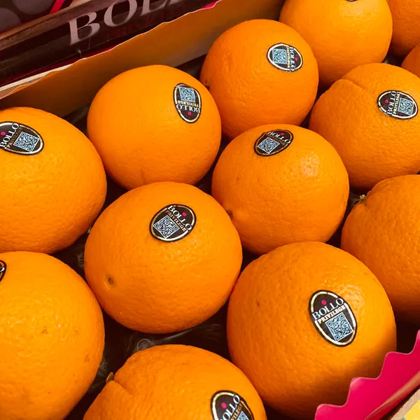 Apelsīni "BOLLO" Navelina,1.šķ., kg