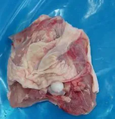 Atdzesētii cāļu šķiņķi bez mugurkaula, A kategorija, ~2.5kg Halal