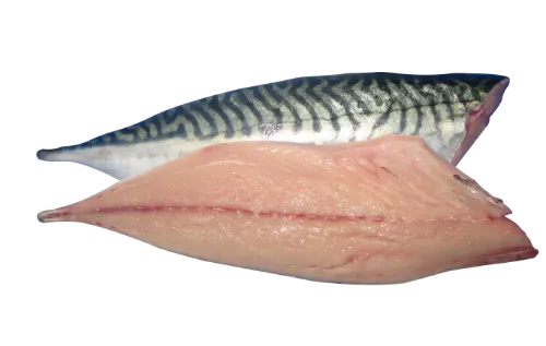 Atlantijas makreles fileja, saldēta, ~1kg