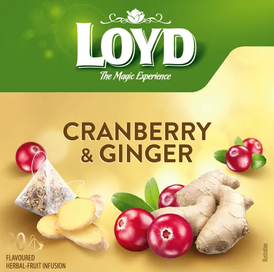 Augļu tēja LOYD Pyramids ar dzērveņu un ingvera garšu, 20x2 g
