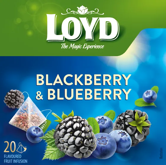 Augļu tēja LOYD kazeņu-melleņu 20x2g