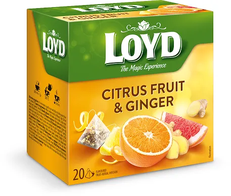 Augļu tēja LOYD Pyramids Ginger&Citrus 20x2g