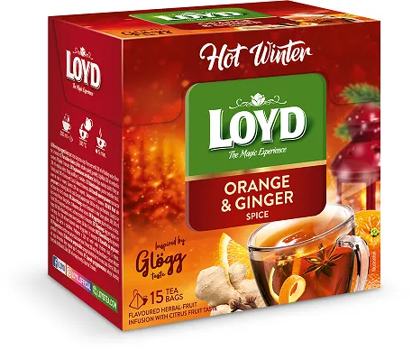Augļu tēja LOYD Pyramids Hot Winter, ar apelsīniem un ingveru, 15x3g