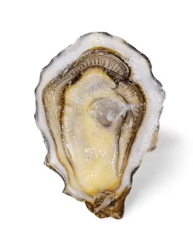 Austeres OSTRA REGAL, 145g, Nr.1, 1 GAB ., Francija