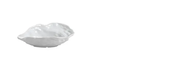 Austeru trauks HUITRE, porcelāns,15x9cm, H 3.5cm, 33,5cm