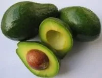 Avokado "Ryan", 14/24 kal. kg