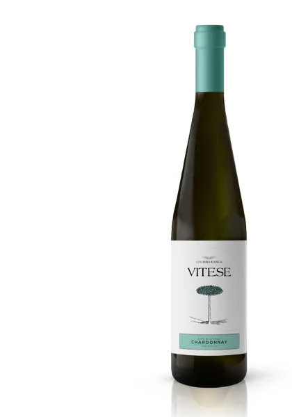 Baltvīns COLOMBA BIANCA Vitese Chardonnay Sicilia DOC BIO, sauss, 13%, 0.75l