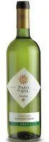Baltvīns PASO DEL SOL Sauvignon Blanc, sauss, 12%-13%, 0.75l