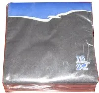 Bāra salvetes LENEK melnas, 24x24cm, 2sl., 75gab