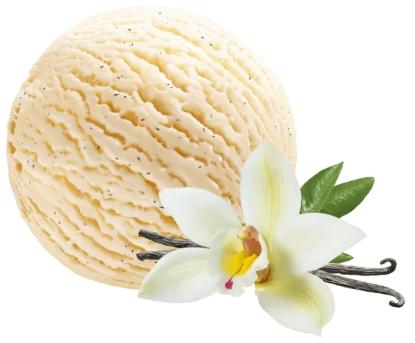 Bezlaktozes vaniļas krējuma saldējums BALBIINO, 5L/2,25kg