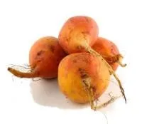 Bietes dzeltenas, kg